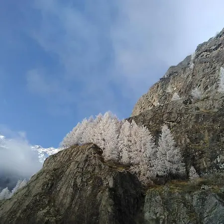 Alpstuga Grene De Singlin